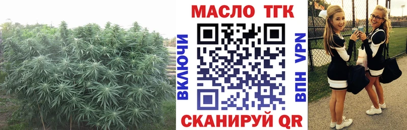 закладки  Фролово  Дистиллят ТГК жижа 